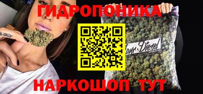 гидра Бийск