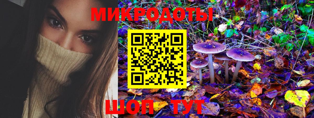 Псилоцибиновые грибы Psilocybine cubensis Киселёвск